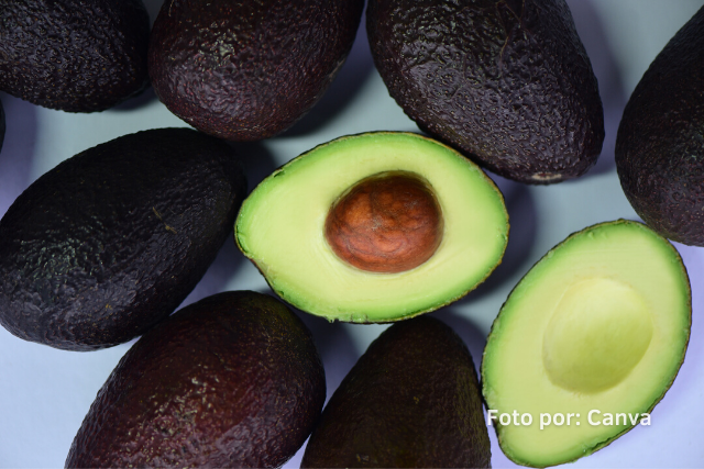 aguacate hass