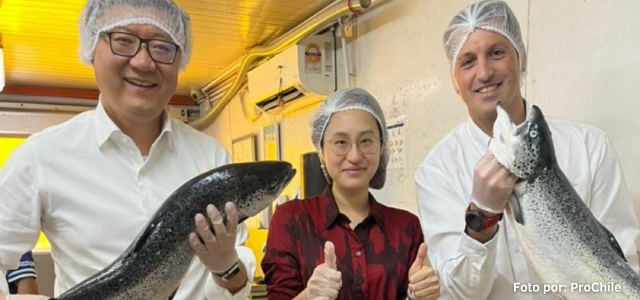 ProChile apoya la exportación del salmón fresco chileno a Malasia
