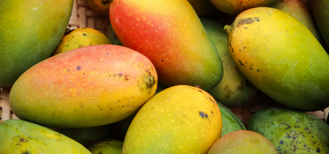 Exportacion de mango de Colombia a EE UU