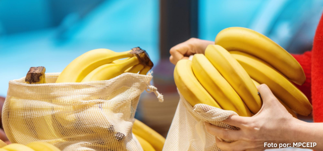 Ecuador, líder en exportaciones de banano orgánico hacia la Unión Europea