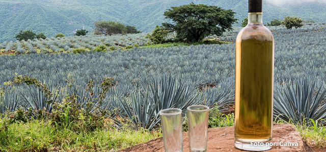 tequila mexico