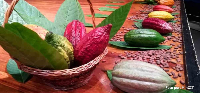 CACAO_DERIVADOS