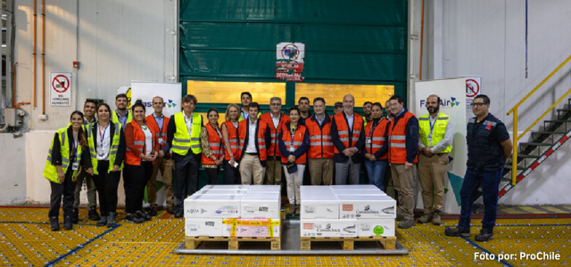 exportaciones de salmón chileno a Australia