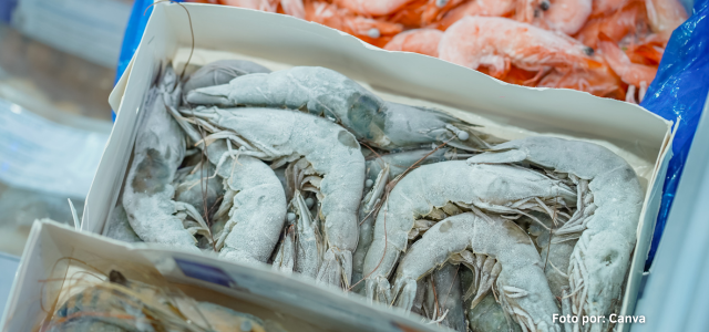 camarones congelados panama.png