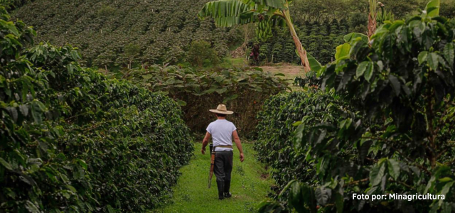Exportaciones agropecuarias colombianas - enero 2025