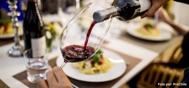 Vinos chilenos de la región de Valparaíso