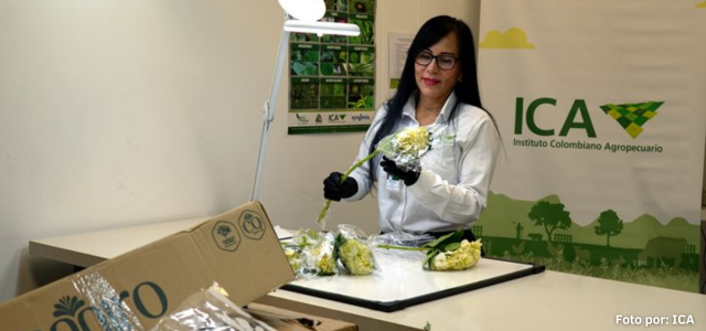 Colombia triplicó la exportación logística de flores