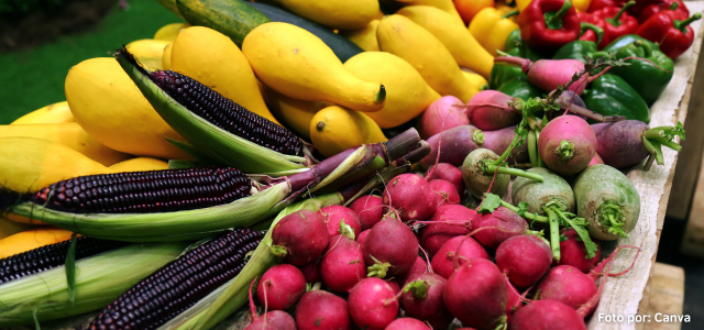 Exportaciones agropecuarias colombianas