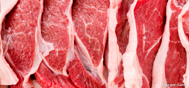 carne exportacion pamama.png