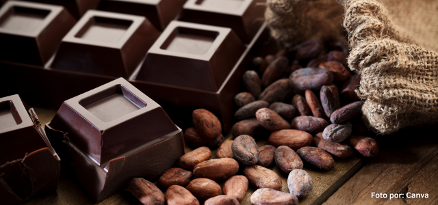Chocolate panameño 2025