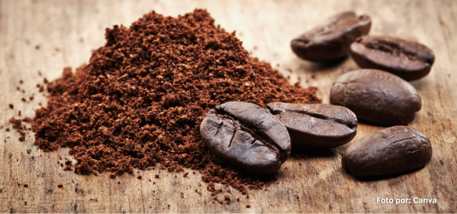 Exportaciones colombianas de café - Primer Cuatrimestre 2025